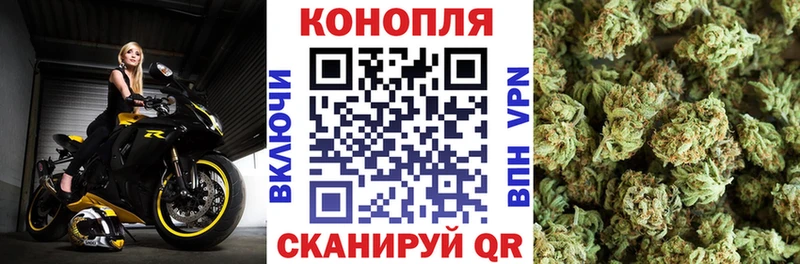 Где найти наркотики Зея Кетамин  A-PVP  АМФ  ГАШИШ  mega tor  Cocaine 